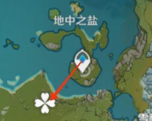 《探索原神11版本地中之盐的方法与技巧》（如何快速进入地中之盐）  第1张