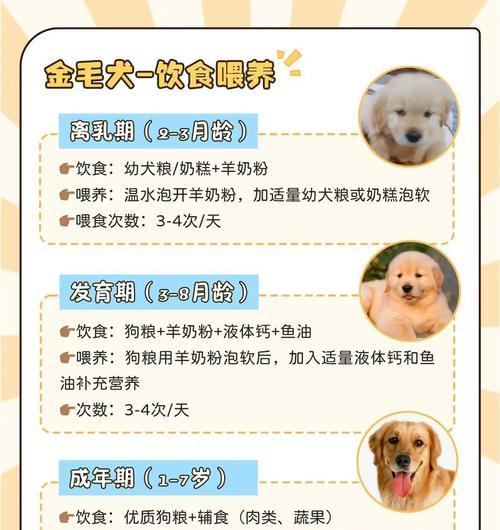 龙之谷宠物的喂养方法是什么？如何确保宠物健康成长？  第1张