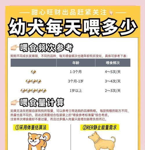 龙之谷宠物的喂养方法是什么？如何确保宠物健康成长？  第2张
