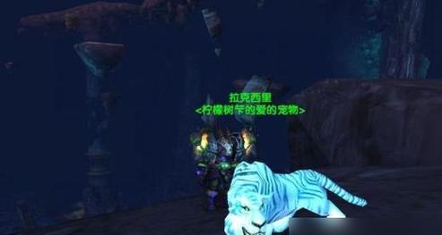 魔兽世界中召唤宠物的方法是什么? 第3张 魔兽世界中召唤宠物的方法是什么? 第3张